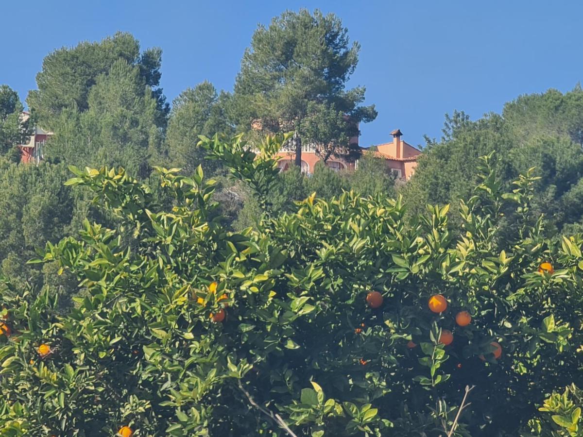 Chateau Angelique Konuk evi Valensiya Dış mekan fotoğraf