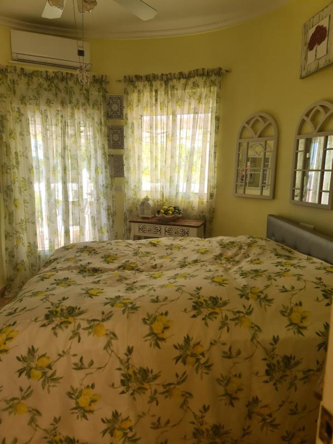 Chateau Angelique Konuk evi Valensiya Dış mekan fotoğraf